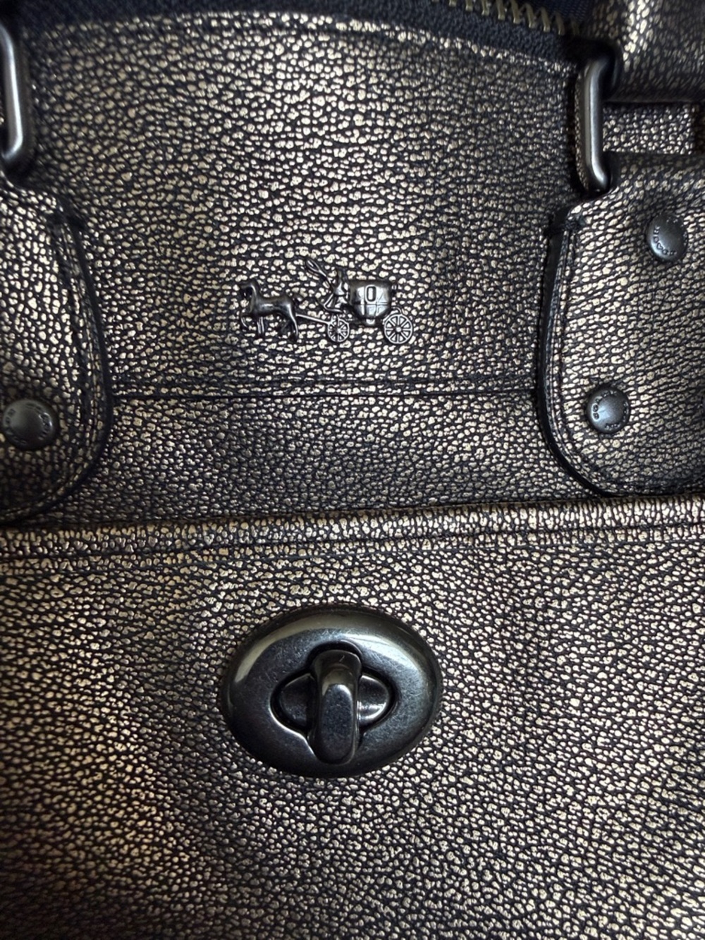 Coach Rhyder - Picture 5 of 8